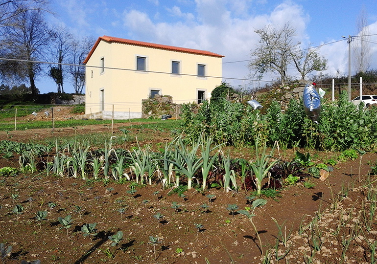 Tarde em família na Casa dos Choupos com música e workshops para pais e filhos