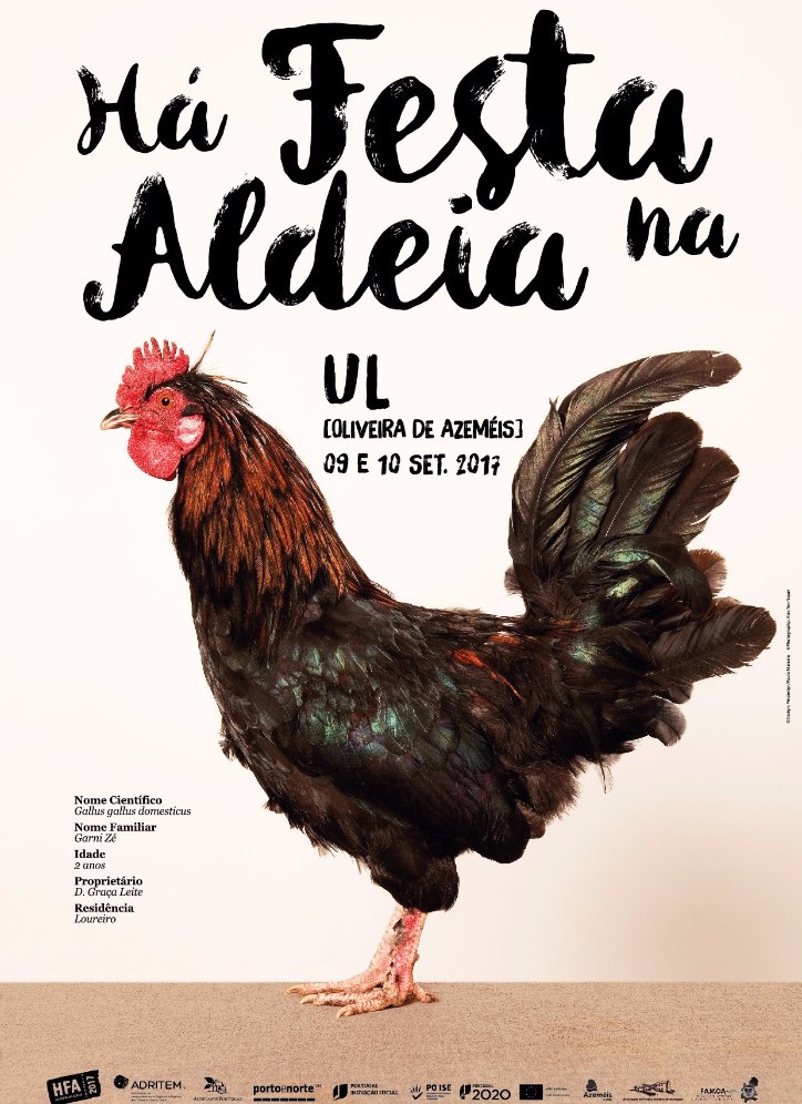 Há Festa na Aldeia - Ul, Oliveira de Azeméis