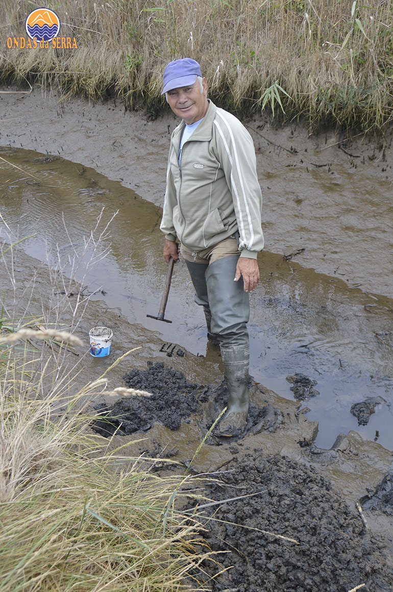 José Fragoso na apanha da bicha José Fragoso na apanha da bicha