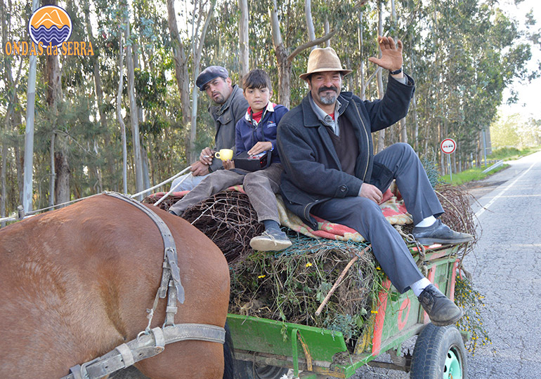 Descobrindo Válega e Madail por percursos de bicicleta - Família de Etnia cigana numa carroça