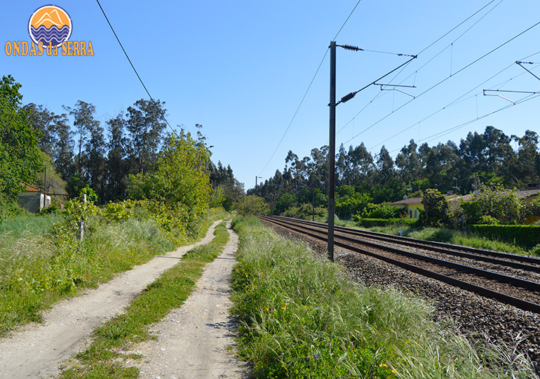 Trilho em terra batida, em Válega junto à Linha CP Norte