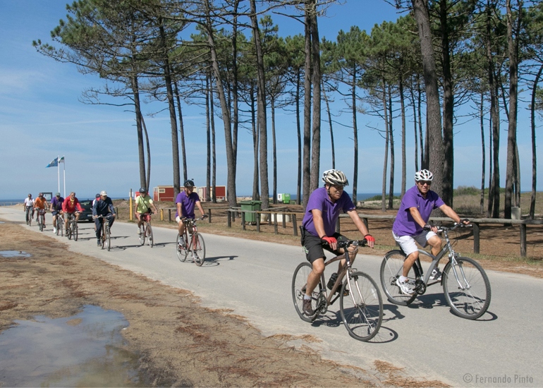 Grupo de amigos amantes da bicicleta - Amigos Bué Cansados - Ovar Grupo de amigos amantes da bicicleta - Amigos Bué Cansados - Ovar