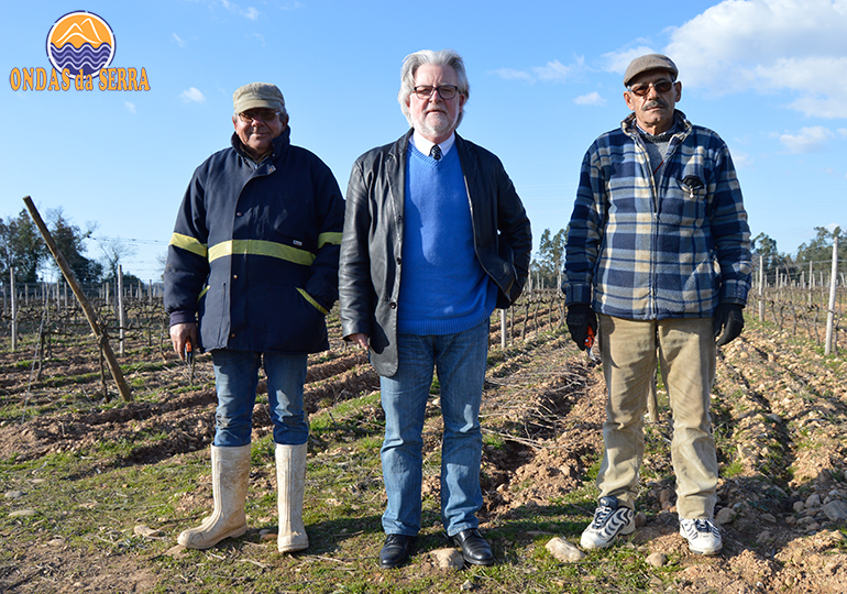 As vinhas Casa D’Almear