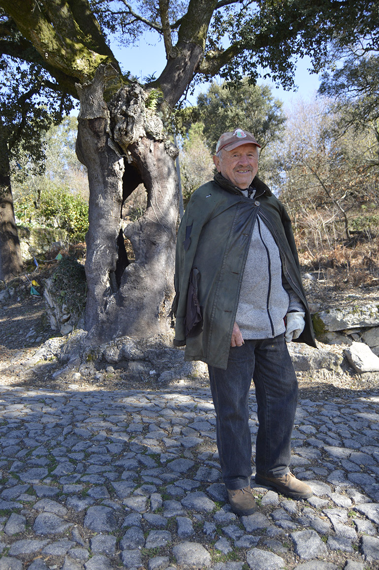 Professor João Monteiro