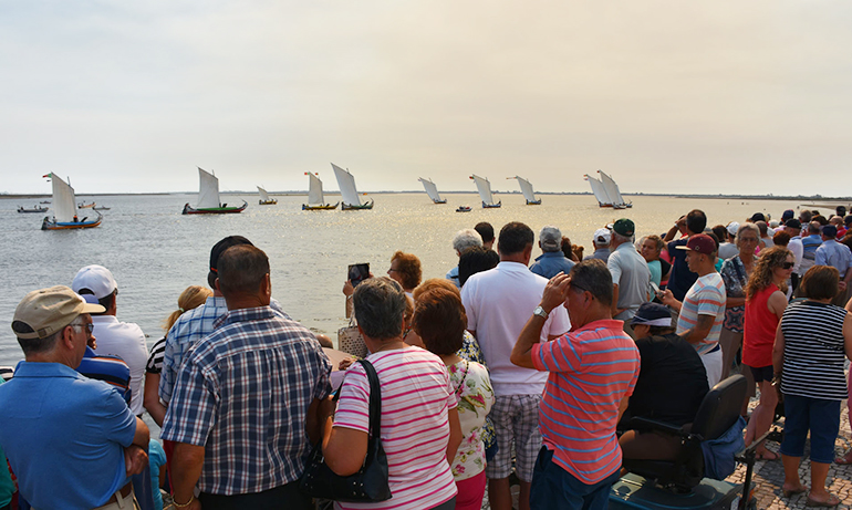 Imagem da Regata da Semana do Emigrante