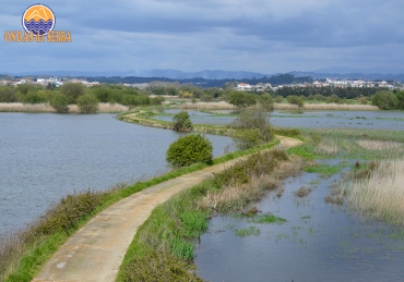 Percurso de Salreu da BioRia junto de rios e Ria Aveiro