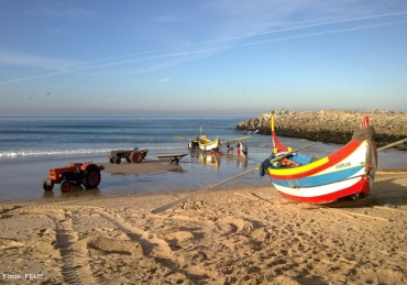 Gastronomia de Espinho