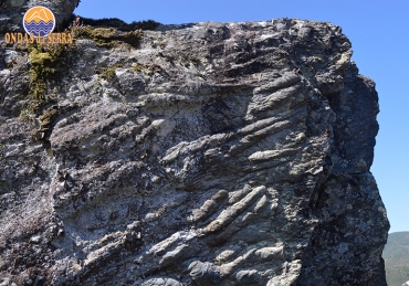 Icnofósseis de Cabanas Longas revelam rastos de trilobites