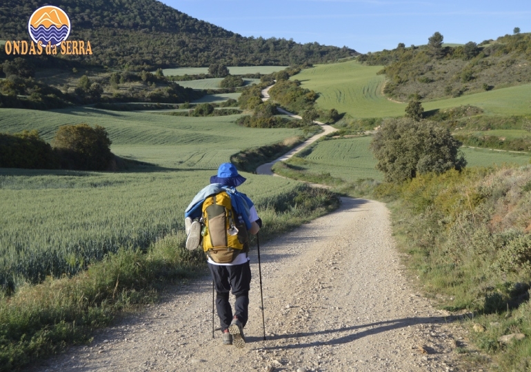 Caminhar: O passo simples para combater a depressão e ser feliz