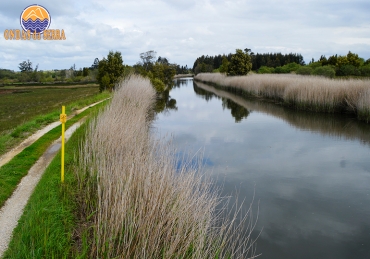 Percurso da Ribeira de Veiros da BioRia e Ria Aveiro